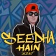 Seedha Hai Single
