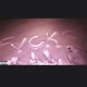 fvck love LLX Single