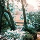 Fall EP