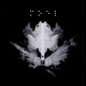 Satisfyd Single