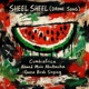 Sheel Sheel Drone Song Single
