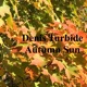 Autumn Sun Single