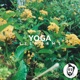 Yoga Single