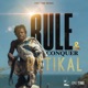 Rule Conquer Single