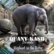 Elephant In the Room