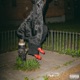 Hot Boy Freestyle feat TM Davy Single