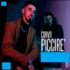 Piccire Single