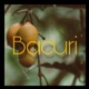 Bacuri Single