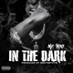 In the Dark Single