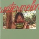 watermelon feat Cherry Vans Single