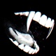 crypt Single