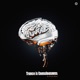 Trance Is Consciousness Single