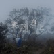 NKidd 業隨身上 Single