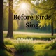 Before Birds Sing Single