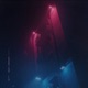 firefly Single