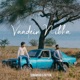 Vaadein Nibha Single