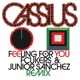 Feeling For You Fcukers Junior Sanchez Remix Single