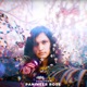 Panineer Rose Single