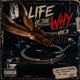 Life of the Why Vol 3