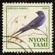 Nyoni Yami Single