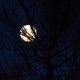 Dancing With Moon Single