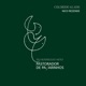 Colorido Alado Single