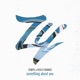 Something About You Single