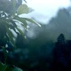 cloudsigns Single