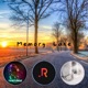 Memory Lane Single