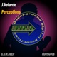 Perceptions Single