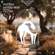 Patéra Astéri Mou feat Dcoverz Single