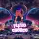 Fluxo Caótico Eletro Funk feat Lucas Sun7 Single