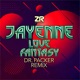 Love Fantasy Dr Packer Remix Single