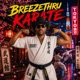 Karate Dennery Segment Single