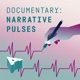 Documentary Narrative Pulses