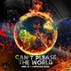 Can t Please the World Single