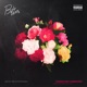 Better Single