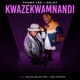 Kwazekwamnadi feat Pabi Cooper Sbuda Maleather Single
