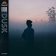 Dusk Single