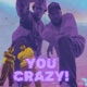 You Crazy feat Scion Rae Single