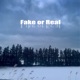 Fake or Real EP