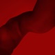 Love Somebody Single