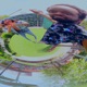 Mobile feat ThatDudeD3Z Rennis Jackson Single