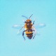 Imker feat Sonic1337 Single