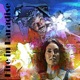 Fire in Paradise feat Skarra Mucci Single