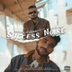 Success Noise feat Vishal Gaggy Wala Single