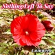 Nothing Left To Say Single