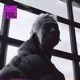 Fool Single