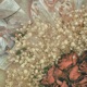 Christmas Rose Single