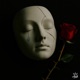 No Tears X Thorns Single